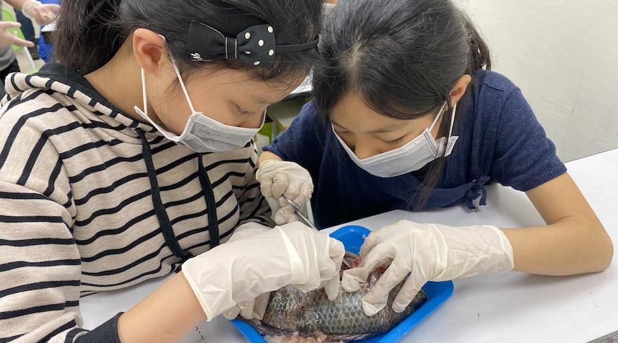 國一生物 台北 補習 實驗